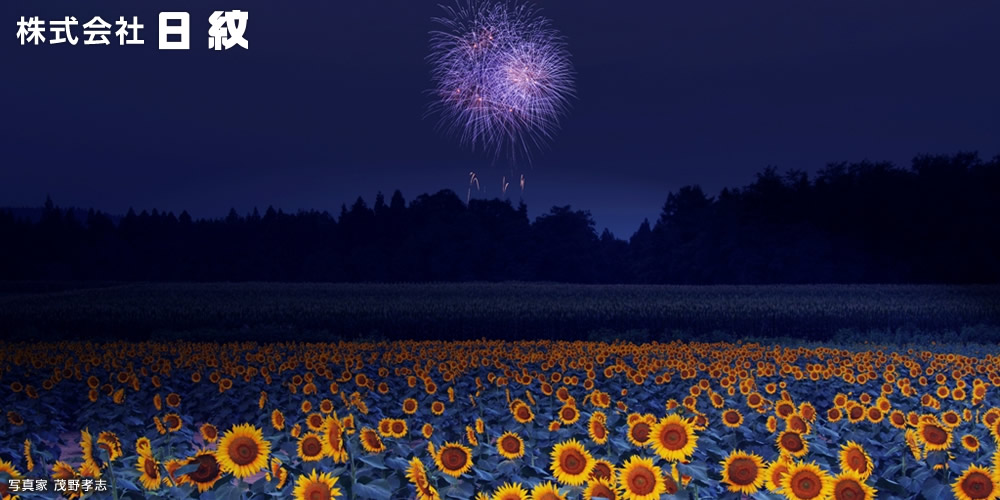 日紋のある新潟県十日町市の夏の風景：津南、沖の原のひまわり畑と花火