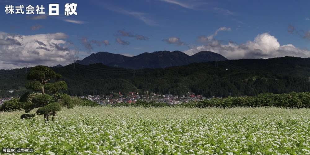 日紋のある新潟県十日町市の夏の風景：十日町から望むハ海山と蕎麦